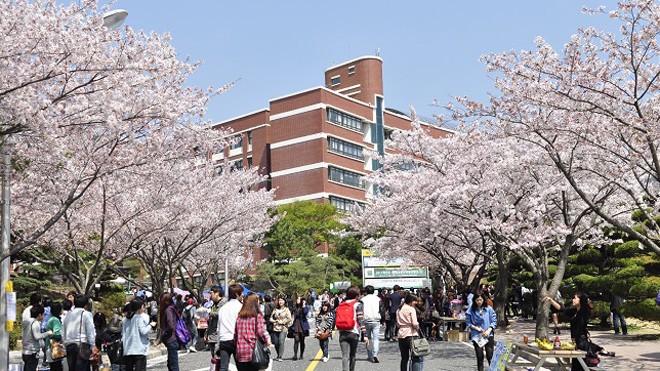 Học bổng đại học tại Hàn Quốc năm 2015 Học bổng đại học tại Hàn Quốc năm 2015