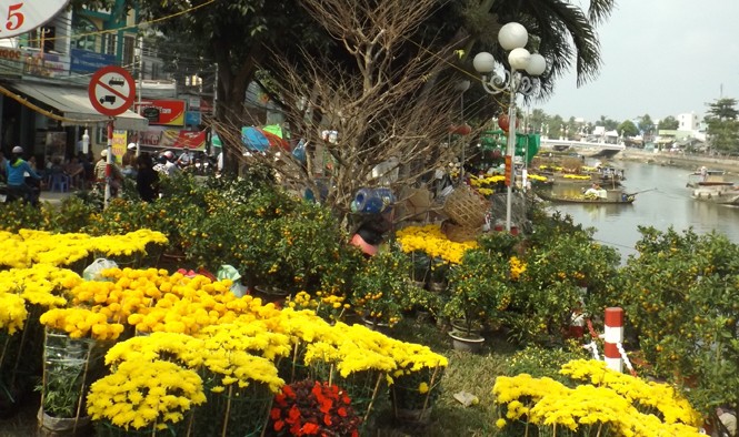 Chợ hoa ven sông nhộn nhịp cận Tết Chợ hoa ven sông nhộn nhịp cận Tết