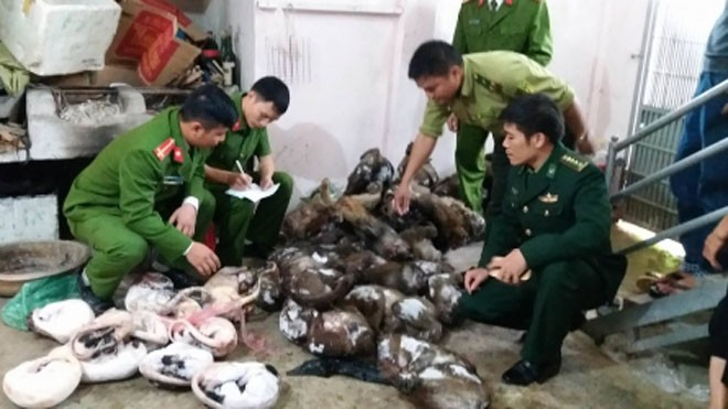 Động vật hoang dã 'đông lạnh' trong nhà dân Cơ quan chức năng phát hiện số lượng lớn động vật hoang dã.