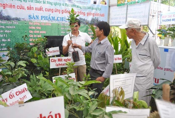 TP. HCM phấn đấu trở thành trung tâm sản xuất giống nông nghiệp Người dân tham gia triển lãm giống nông nghiệp năm 2016