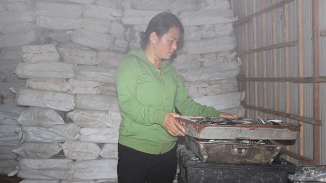 Quảng Trị: Thêm cả ngàn đối tượng bị ảnh hưởng sự cố môi trường biển Quảng Trị: Thêm cả ngàn đối tượng bị ảnh hưởng sự cố môi trường biển