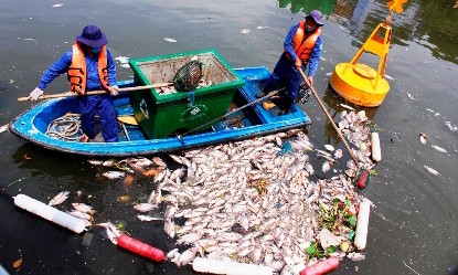 Vớt gần 70 tấn cá chết trên kênh Nhiêu Lộc – Thị Nghè Lao động vớt cá trên kênh Nhiêu Lộc- Thị Nghè.