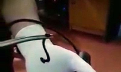 Kinh hãi gắp con vắt trong họng bé gái 12 tuổi Kinh hãi gắp con vắt trong họng bé gái 12 tuổi