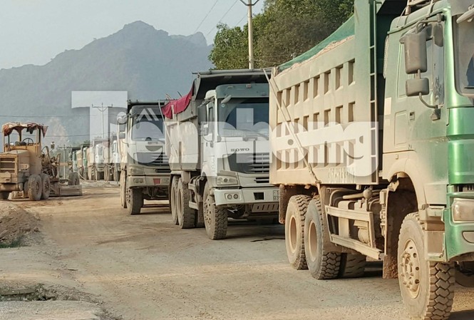 Những 'binh đoàn hổ vồ' náo loạn Hạ Long, CSGT nói gì? Những “binh đoàn hổ vồ” náo loạn Hạ Long.