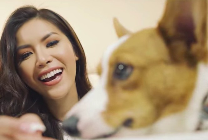 Minh Tú đưa cún cưng vào clip tự giới thiệu ở Hoa hậu Siêu quốc gia Minh Tú đưa cún cưng vào clip tự giới thiệu ở Hoa hậu Siêu quốc gia 2018.