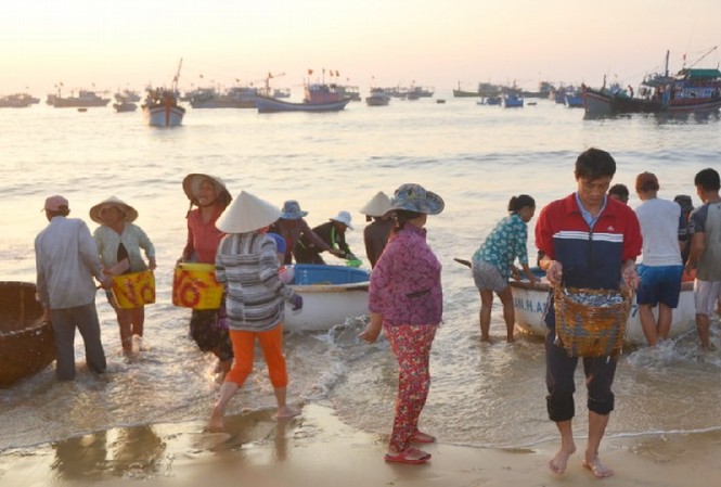 Ngư dân trúng đậm ngàn tấn thủy hải sản trong chuyến ra khơi đầu năm Ngư dân trúng đậm ngàn tấn thủy hải sản trong chuyến ra khơi đầu năm