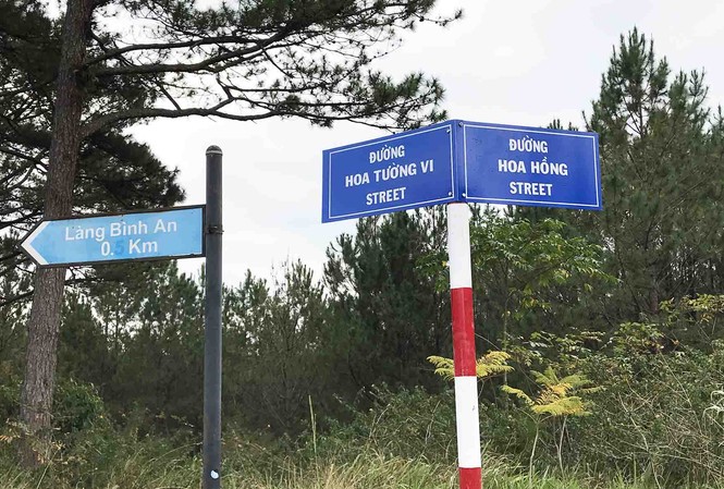 Đà Lạt có thêm 6 con đường mang tên các loài hoa Đặt tên các loài hoa cho đường phố Đà lạt
