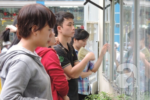 Sinh viên sợ ‘sập bẫy’ việc làm thêm ngày Tết Ảnh minh họa
