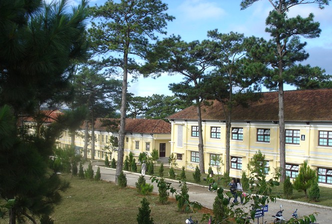 Rà soát, đánh giá thực trạng việc đặt tên các trường đại học Rà soát, đánh giá thực trạng việc đặt tên các trường đại học