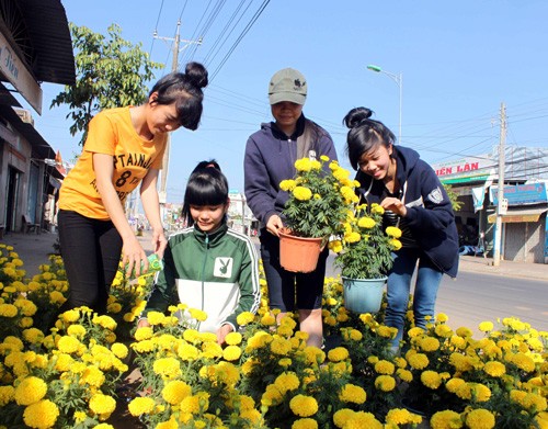 Học trò quê kinh doanh trong ngày tết Nhóm học trò lớp 11 bán bông dọc tỉnh lộ 713 (qua địa bàn xã Đức Hạnh, huyện Đức Linh, tỉnh Bình Thuận) - Ảnh: Như Lịch