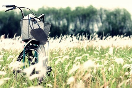 Thiếu nữ đột tử do trúng gió, dân mạng xôn xao bàn cách tránh Ảnh minh họa