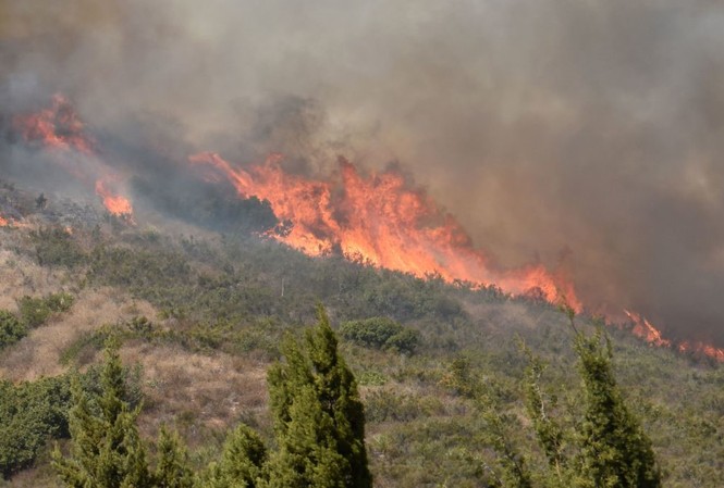 Cháy rừng khủng khiếp ở California, ít nhất 10 người chết Cháy rừng khủng khiếp ở California, ít nhất 10 người chết