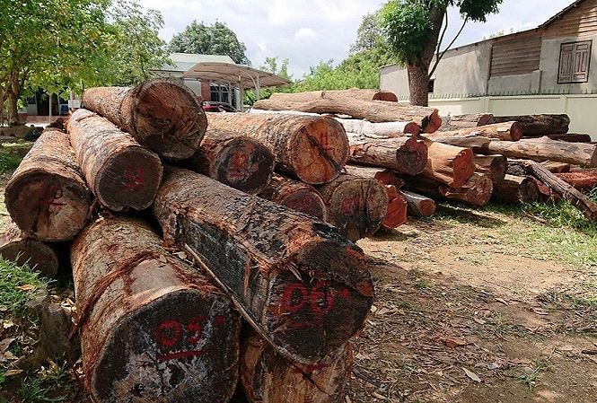 Vụ bắt trùm gỗ lậu Phượng 'râu': Kiểm điểm 9 cán bộ kiểm lâm huyện Vụ bắt trùm gỗ lậu Phượng 'râu': Kiểm điểm 9 cán bộ kiểm lâm huyện