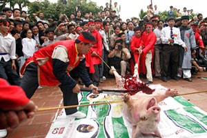 Chém hay không chém Chém lợn ở Ném Thượng, Bắc Ninh.