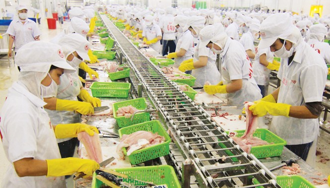 2015: Năm của hội nhập Dây chuyền chế biến thủy hải sản xuất khẩu. Ảnh: Hoàng Hải.