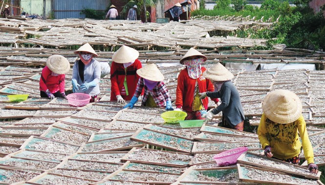 Đất lành bên bờ Biển Tây Phơi cá bên cửa biển Sông Đốc.