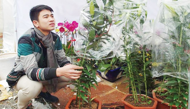 Sinh viên kiếm tiền ngày Tết Không về quê sinh viên ở lại bán hoa Tết.