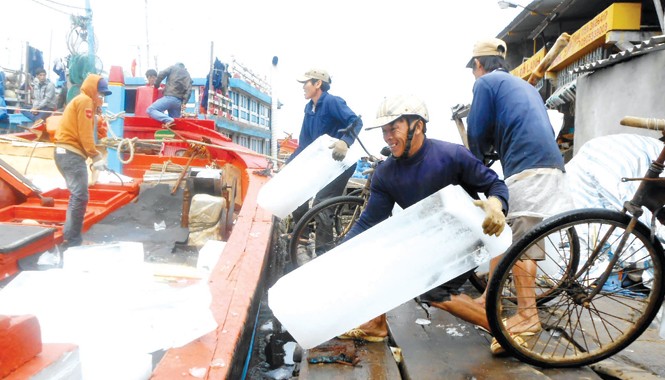 Kỳ vọng mùa biển mới Ngư dân Lý Sơn tiếp thêm đá lạnh để vươn khơi. Ảnh: Nam Cường - Anh Thư.