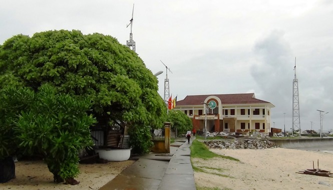 Bộ đội Trường Sa trồng cây xanh quanh đảo Màu xanh bát ngát dọc triền đảo Sinh Tồn. Ảnh: TC.