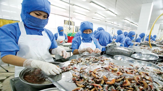 Miếng ăn 'tẩm' kháng sinh! Với những mặt hàng Việt Nam xuất khẩu như thủy sản, mật ong... chúng ta phải “nói không với kháng sinh”. Ảnh: Như Ý.