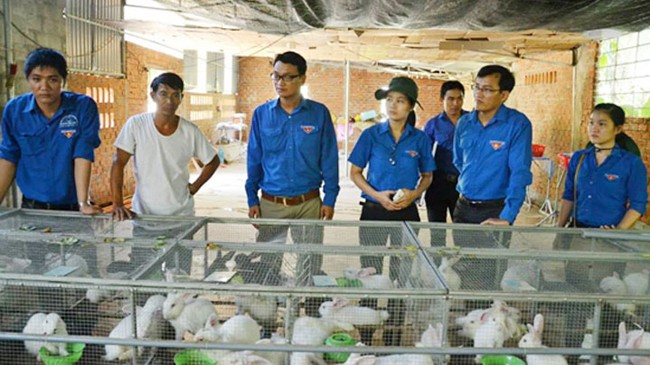 Khởi nghiệp với 7 chữ T Một mô hình thanh niên khởi nghiệp từ vay vốn của Đoàn.