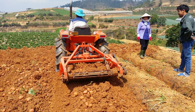 Nông dân chế tạo máy nông nghiệp xuất khẩu Máy đào khoai tây đa năng của anh Thành.