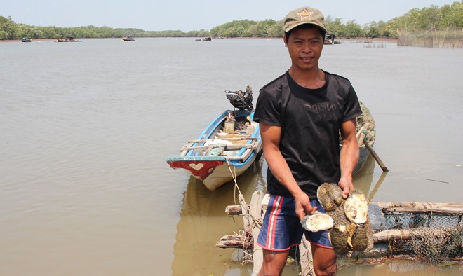 Sông Thị Vải 8 năm sau ngày bị 'bức tử' Anh Dương Văn Sáng, ngụ tại xã Phước An (Nhơn Trạch) đầu tư 250 triệu nuôi hàu tại vàm Mương Điều, hàu bị chết thối. Bán hàu non thì chẳng ai mua.