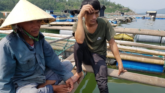 Cá chết bất thường tại biển Thanh Hóa: Có lặp lại kịch bản Formosa? Các chủ hộ nuôi lồng bè ngao ngán trước hiện tượng cá chết bất thường. Ảnh: PV.