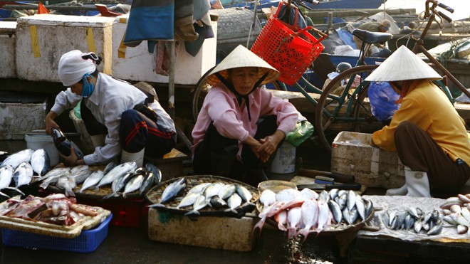 Hậu Formosa: Bộ NN&PTNT nói hải sản ra thị trường là an toàn Chợ cá Nhật Lệ, Quảng Bình. Ảnh: Hồng Vĩnh.