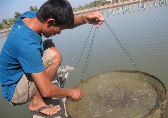 Nguyên liệu kháng sinh thú y vẫn tung hoành Việc quản lý kháng sinh thú y bị thả nổi. (Ảnh mang tính minh họa, nguồn Internet)