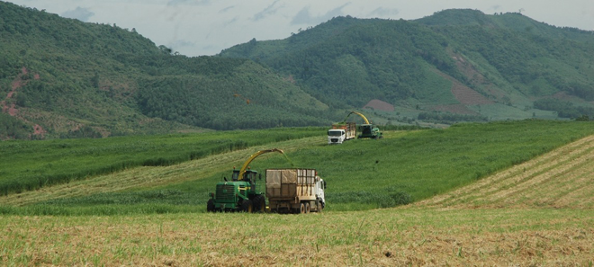 Không tích tụ đất, nông thôn mãi nghèo Nhờ tích tụ đất, áp dụng công nghệ cao, giá trị mỗi hécta đất của Trang trại TH true MILK tại Nghệ An lên đến tỷ đồng/năm. Ảnh: Bảo An.