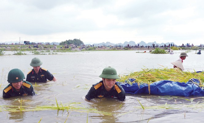 Áo Đoàn, áo lính chung tay vì cộng đồng Cán bộ, chiến sĩ Bộ CHQS tỉnh Ninh Bình (Quân khu 3) giúp dân gặt lúa chạy lũ trong mùa mưa bão.