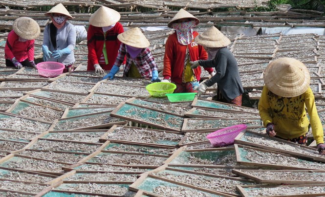 Làng nghề đặc sản vào Tết Làng khô cá biển cửa Sông Đốc. Ảnh: Tiến Hưng.