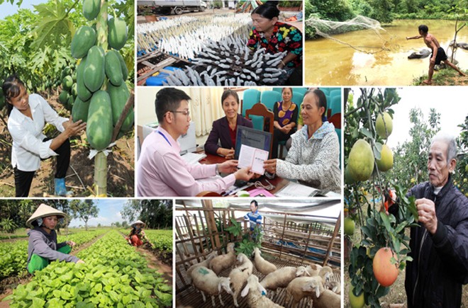 Ngân hàng chính sách: Cán đích tăng tín dụng 10% Năm 2016, NHCS đã nỗ lực hoàn thành nhiệm vụ.