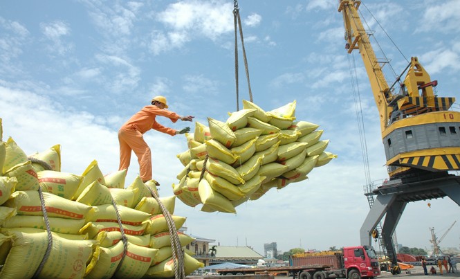 Thủ tướng Nguyễn Xuân Phúc: Lúa gạo trước giờ G đổi mới Gạo xuất khẩu được vận chuyển xuống tàu ở cảng Sài Gòn. Ảnh: Hồng Vĩnh.