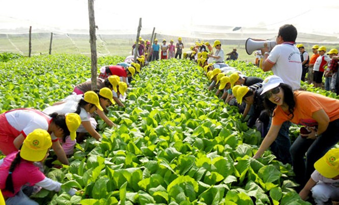 Du lịch nông nghiệp Mô hình sinh thái tại nông nghiệp tại khu sinh thái EraHouse (Long Biên).