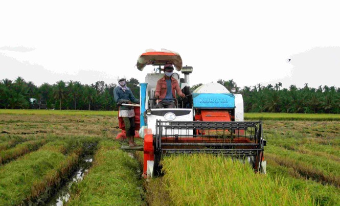Phải đẩy lùi tín dụng đen ở nông thôn Người dân ĐBSCL cần được tạo điều kiện vay vốn để phát triển sản xuất. Ảnh: PV.