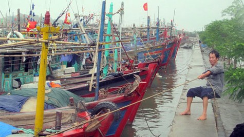 Áp thấp nhiệt đới trên biển Đông Áp thấp nhiệt đới trên biển Đông