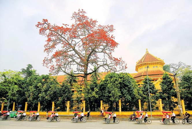 Bảo tàng nghìn tỷ, “Bội thực” sao vẫn muốn xây mới? Một góc nhìn Bảo tàng Lịch sử Quốc gia Việt Nam hiện nay. Ảnh: Nhật Minh.