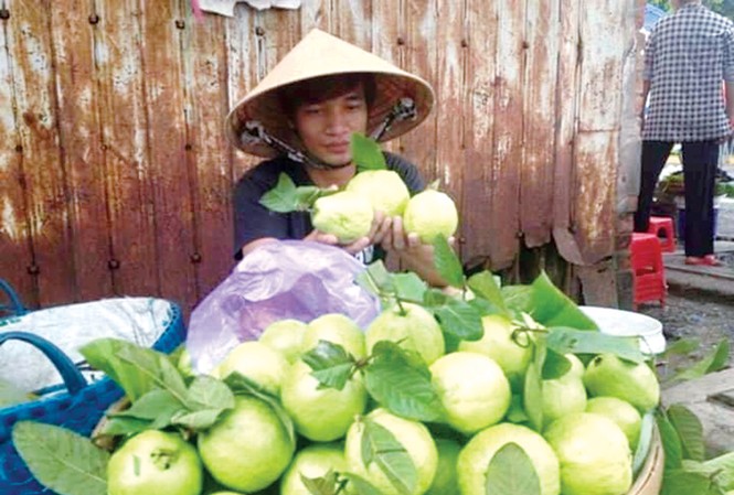 Lệ Rơi chia sẻ tình đời Lệ Rơi chia sẻ tình đời