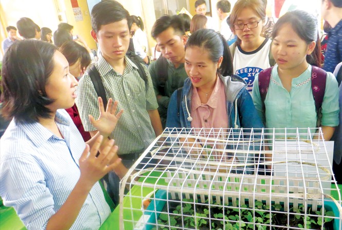Khởi nghiệp nông nghiệp - nhiều cơ hội cho giới trẻ Nhiều bạn trẻ hào hứng với các dự án kiểu “nhà quê”. Ảnh: U.P.