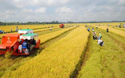 Tư duy mới cho ĐBSCL Tư duy mới cho ĐBSCL