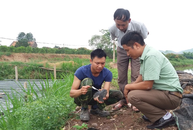Ném tiền tỷ xuống ao lấy ngọc Nuôi trai nước ngọt lấy ngọc - nghề mới có triển vọng.