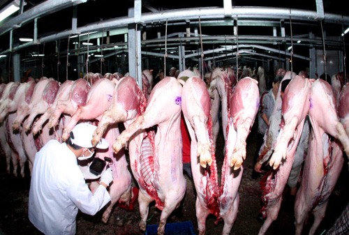 Bộ Nông nghiệp yêu cầu siết quản lý thuốc an thần tại lò mổ Bộ Nông nghiệp yêu cầu siết quản lý thuốc an thần tại lò mổ