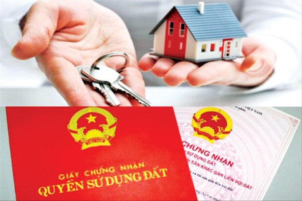 'Không hướng dẫn cụ thể dễ gây nhiễu loạn, phiền phức cho dân' 'Không hướng dẫn cụ thể dễ gây nhiễu loạn, phiền phức cho dân'