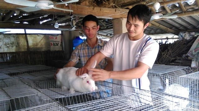Kiếm tiền tỷ nhờ nuôi thỏ Kiếm tiền tỷ nhờ nuôi thỏ