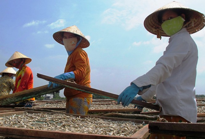 Làng nghề miền Tây vào Tết: Đã nồng nàn mùi Tết Phơi khô ở Cà Mau. Ảnh: Tiến Hưng.