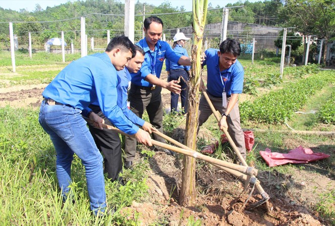 Phải lan tỏa phong trào 'Sinh viên 5 tốt' Ngoài đáp ứng yêu cầu về học lực, mỗi sinh viên đạt danh hiệu “Sinh viên 5 tốt” còn là những nhân tố nổi bật trong các hoạt động tình nguyện, nghiên cứu khoa học, hội nhập quốc tế. Ảnh: Giang Thanh.