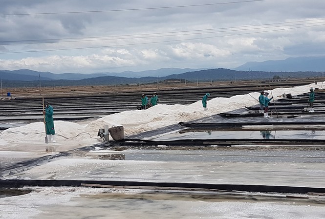 Duyên lành Ninh Thuận Cánh đồng muối Quán Thẻ.