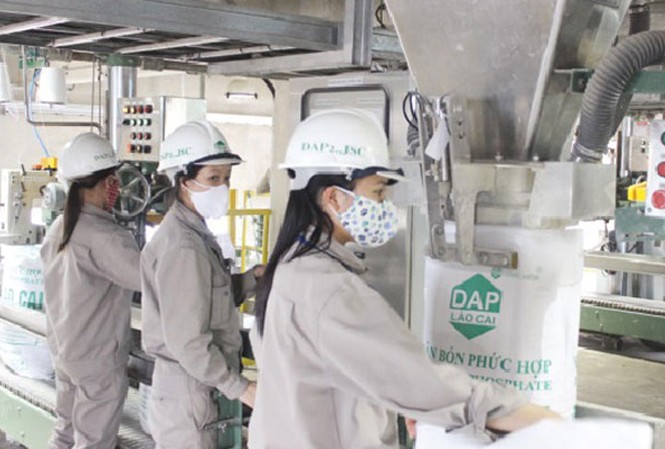 Áp thuế tự vệ phân bón: Vì lợi ích lâu dài của nông dân Áp thuế tự vệ phân bón nhằm tạo môi trường cạnh tranh công bằng.